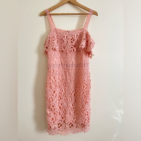 Perfectly Priscilla Women Lace Dress Off-Shoulder Blush Cocktail Eyelash 1XL NWT - Picture 1 of 16